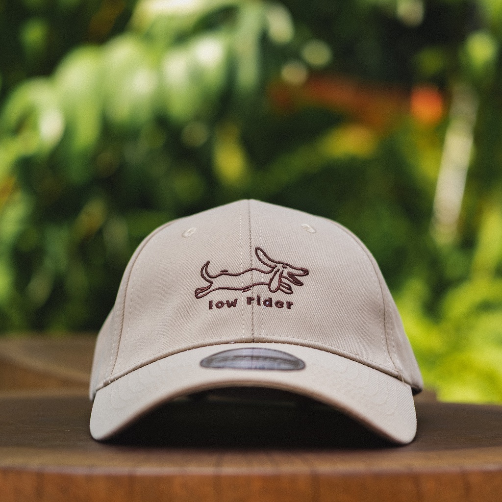 Fetch Society Cap — Low Rider