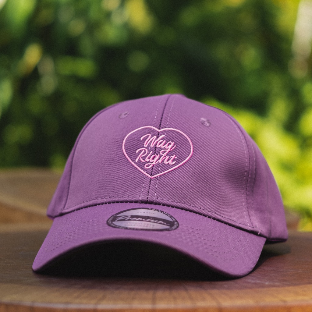 Fetch Society Cap — Wag Right