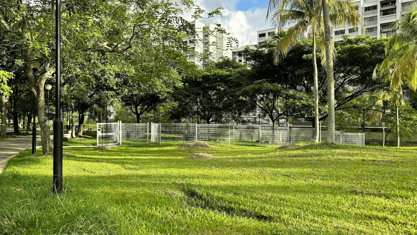 Bedok Town Park Dog Run