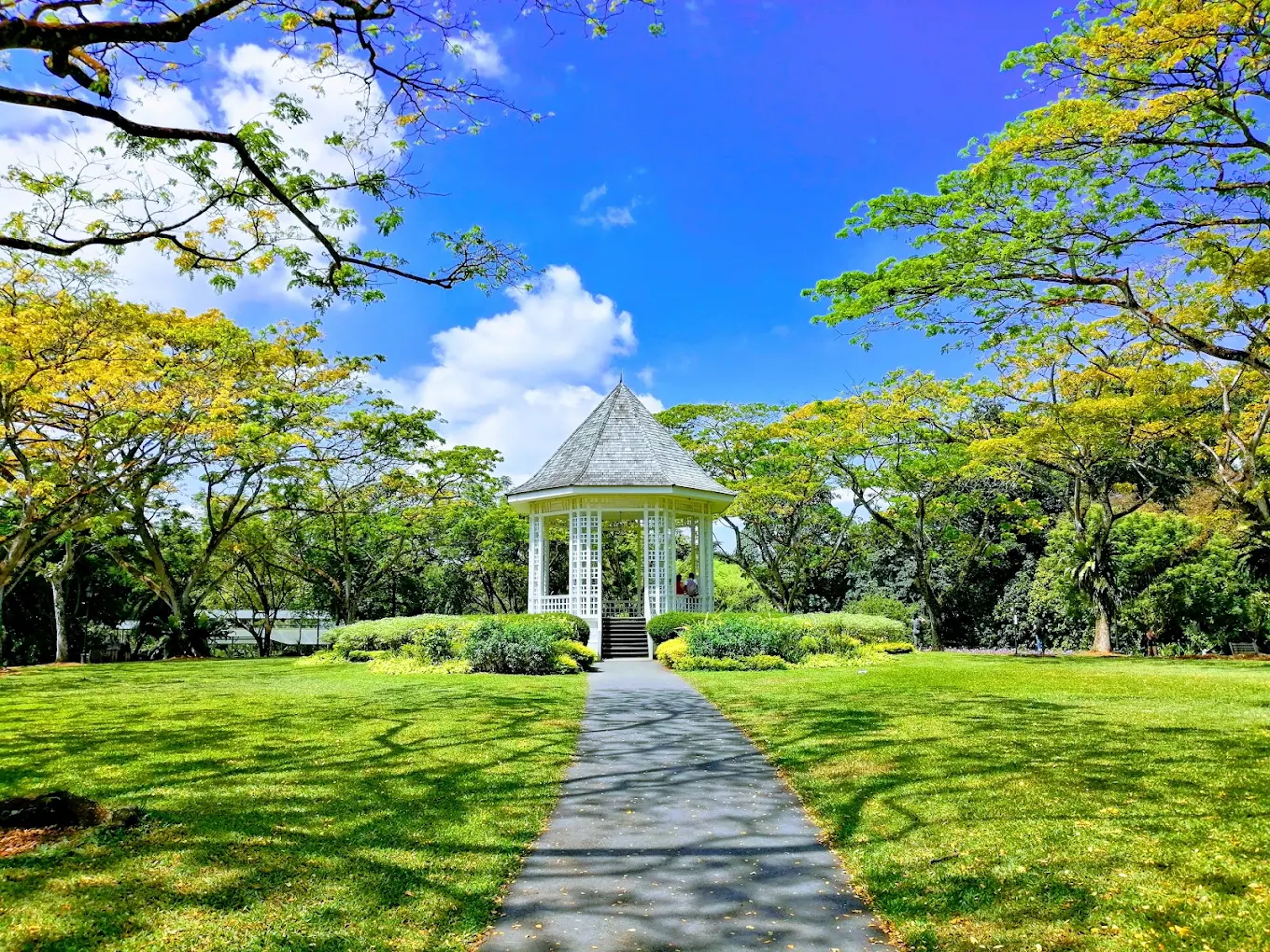 Singapore Botanic Gardens