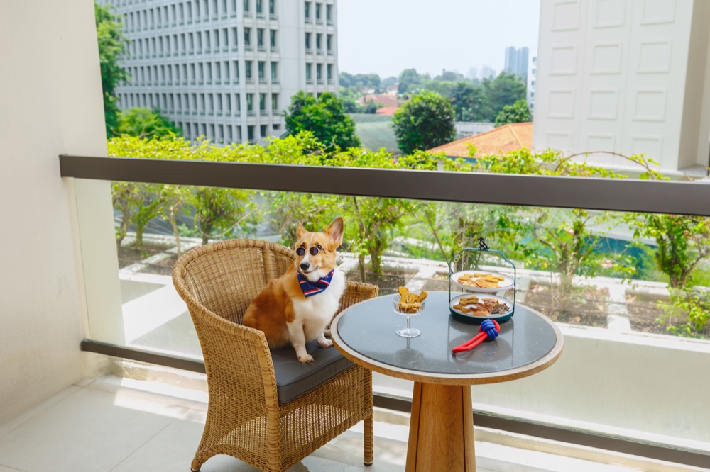Conrad Singapore Orchard