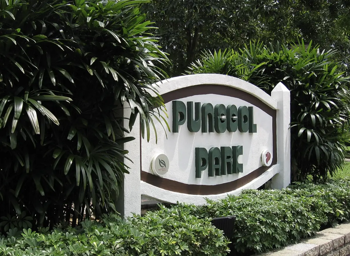 Dog Run @ Punggol Park