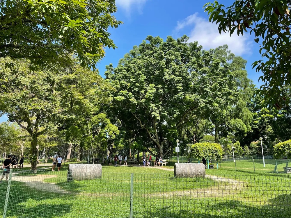 Bishan-Ang Mo Kio Park Dog Run