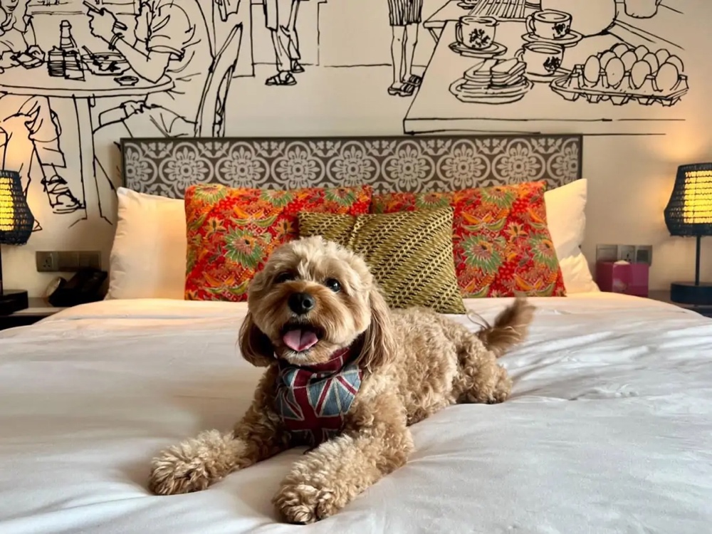 Hotel Indigo Singapore Katong