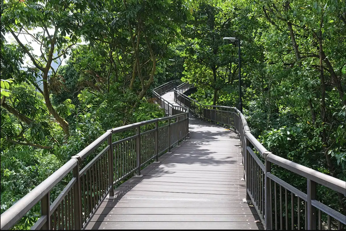 Kent Ridge Park