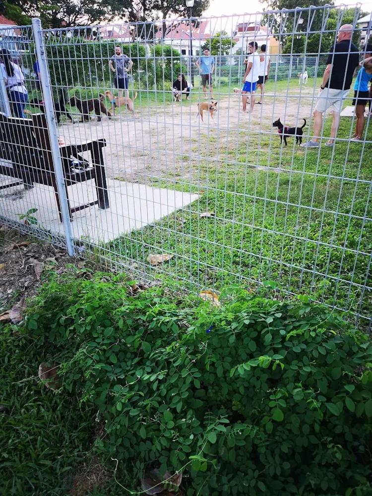 Koon Seng Park Dog Run