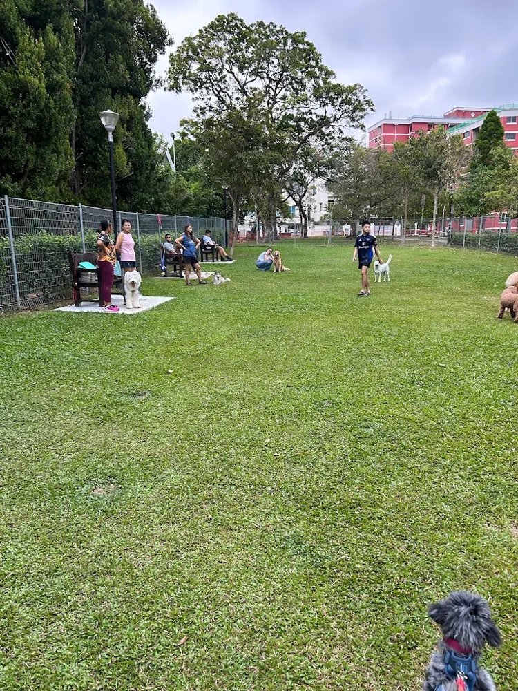 Surin Park Dog Run
