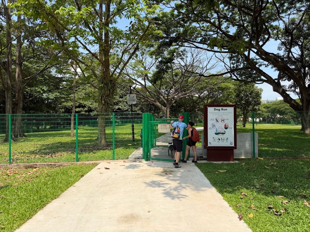 West Coast Park Dog Run