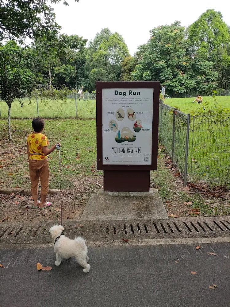 Woodlands Waterfront Park Dog Run